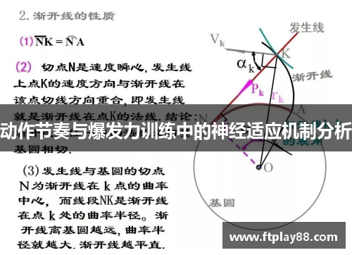 动作节奏与爆发力训练中的神经适应机制分析